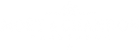 Moet & Chandon